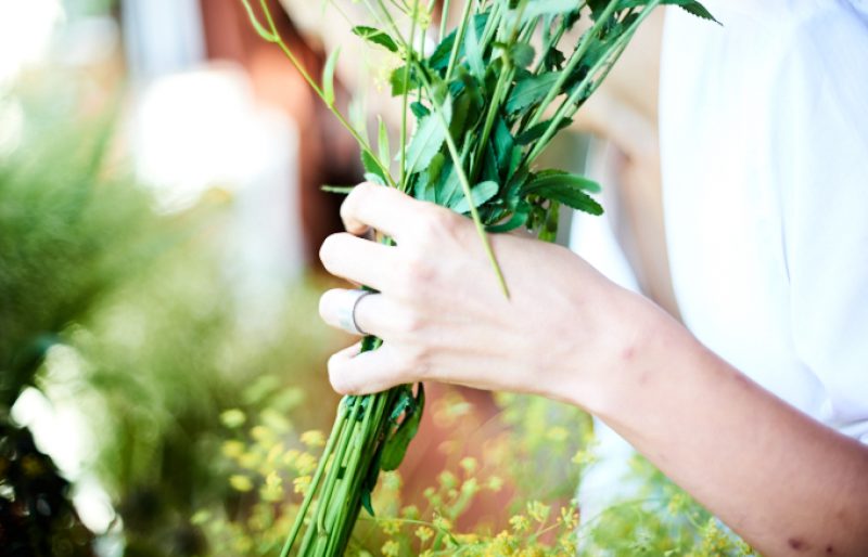 “贈り物”の未来を、<br />
お花屋さんと一緒に考えました。