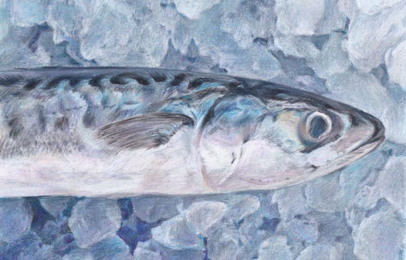 サステナブルシーフードを知っていますか？